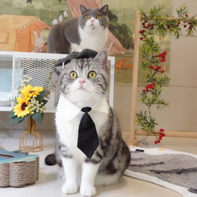 Funny Pet Cat Hat and tie Gentleman's Hat Beret Tie Bathing Blood Gangster Handsome Cosplay Photo Prop Pet Halloween Costume