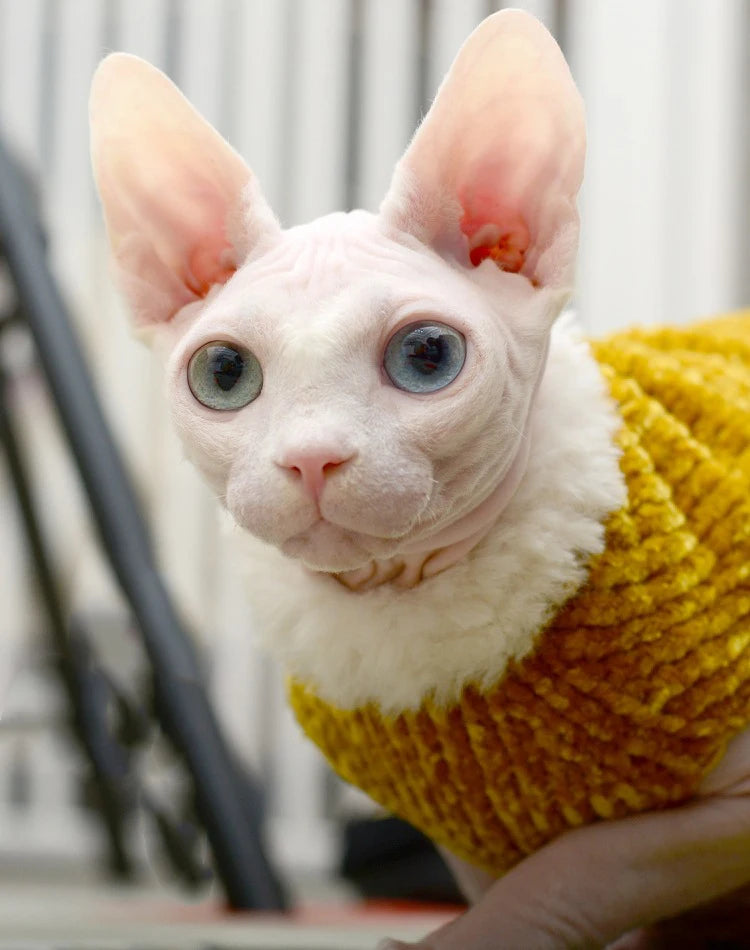 Devon Rex Thickening Plush Coat Cat Sweater Costume Sphinx Clothes Kitten Sphynx Pullover Clothing Products for Winter Outwear