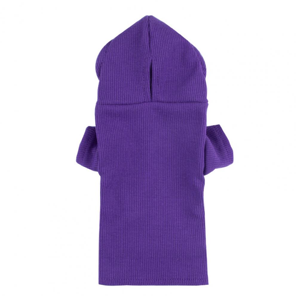 Cute Ferret Hoodie Solid Color Drawstring Hooded Sweatshirt Thick Fluffy Pet Hoodie Foreleg Elastic Hamster Guinea Pig Clothes
