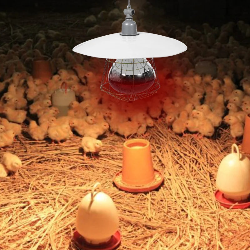 220V Poultry Heating Bulb 150/200/250W Infrared Insulation Heat for Reptiles Plants Amphibians Pets Livestock and Poultry
