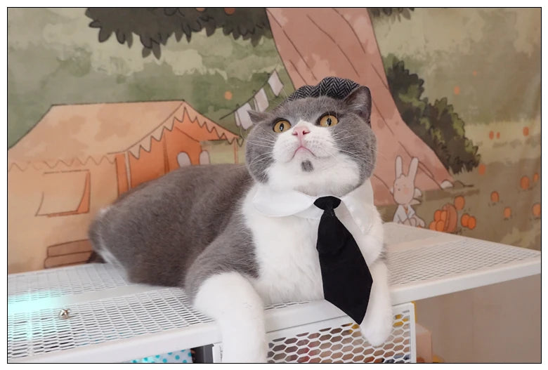 Funny Pet Cat Hat and tie Gentleman's Hat Beret Tie Bathing Blood Gangster Handsome Cosplay Photo Prop Pet Halloween Costume