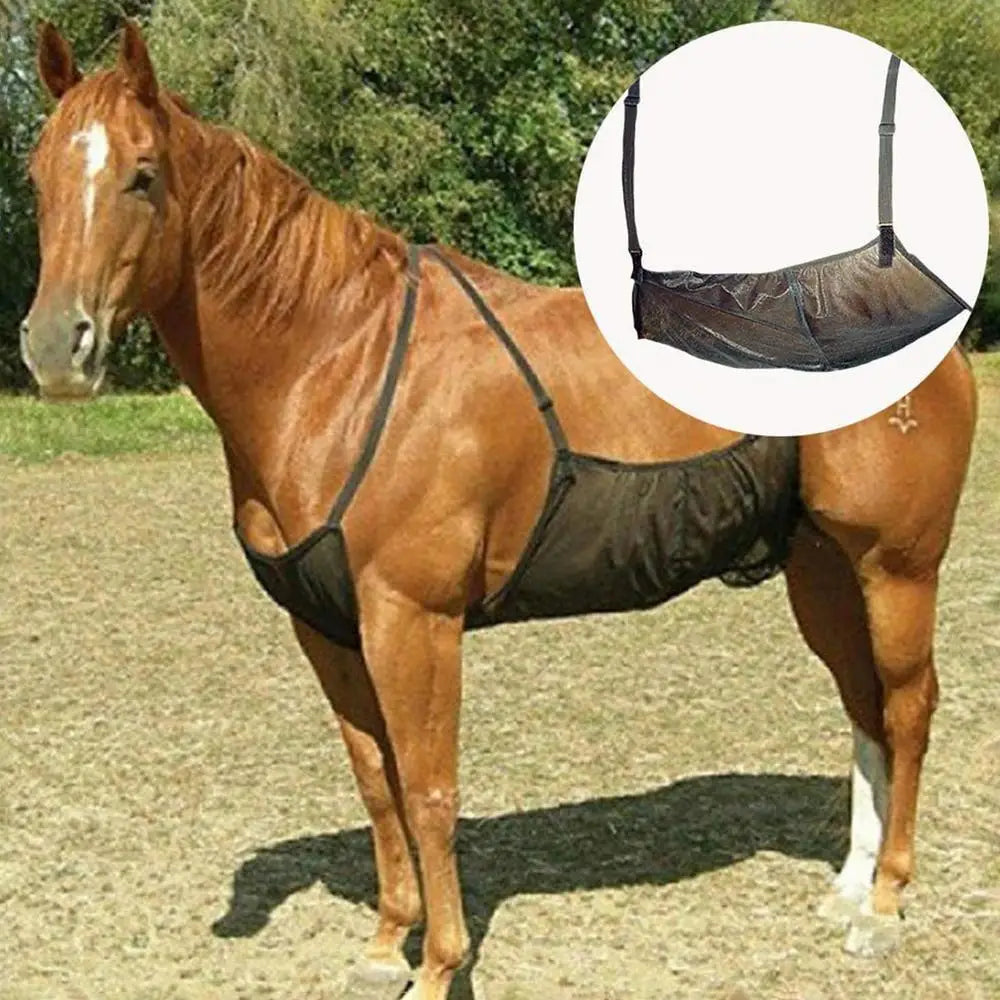 Horse Fly Sheet Adjustable Breathable Mesh Equine Fly Sheet Equine Care Blankets For Livestock Outdoor Backyard Farm
