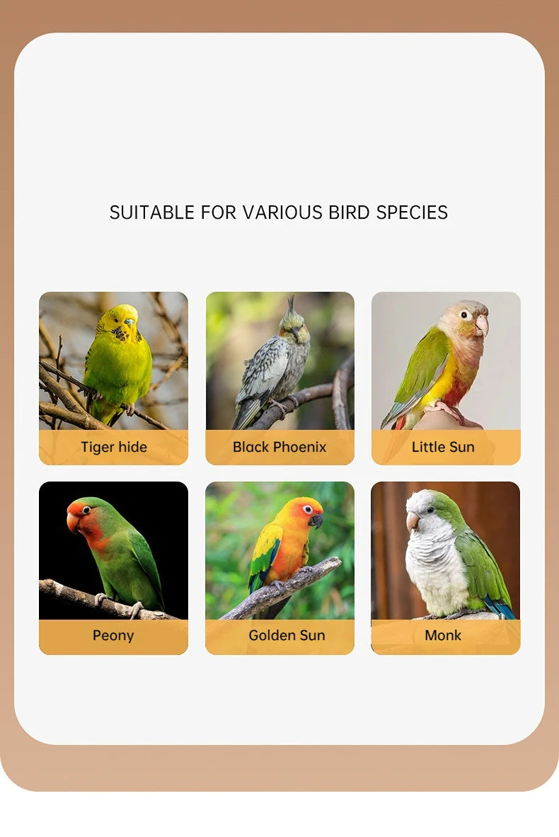 Cockatiel Harness And Leashes 2M Conures Bird Leashes For Parakeet Traction Rope Adjustable Outdoor Cockatiel Leashes For Birds