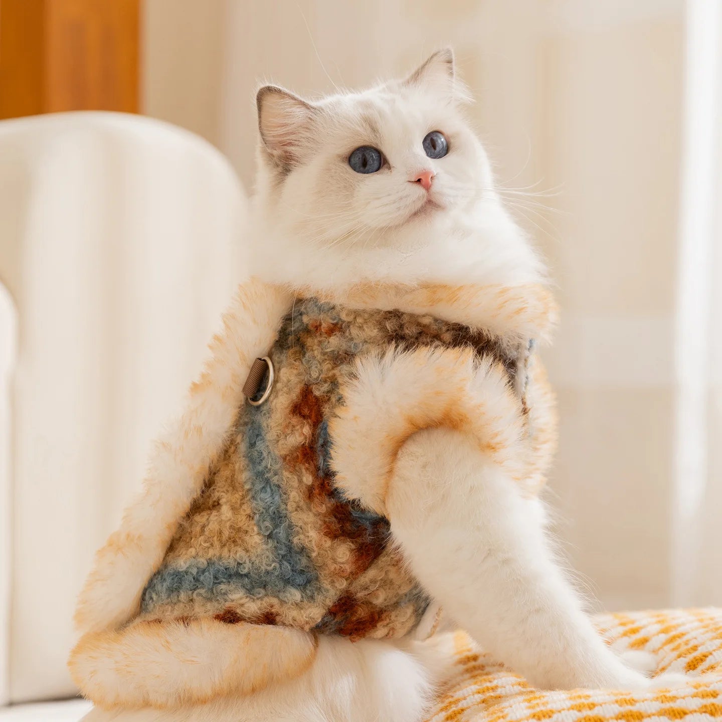 Winter Autumn Warm Clothes Dog Velvet Vest For Small Medium Puppy Bichon Teddy Thicken Pet Warm Clothes New Year Dog Clothing and Cat Clothing
