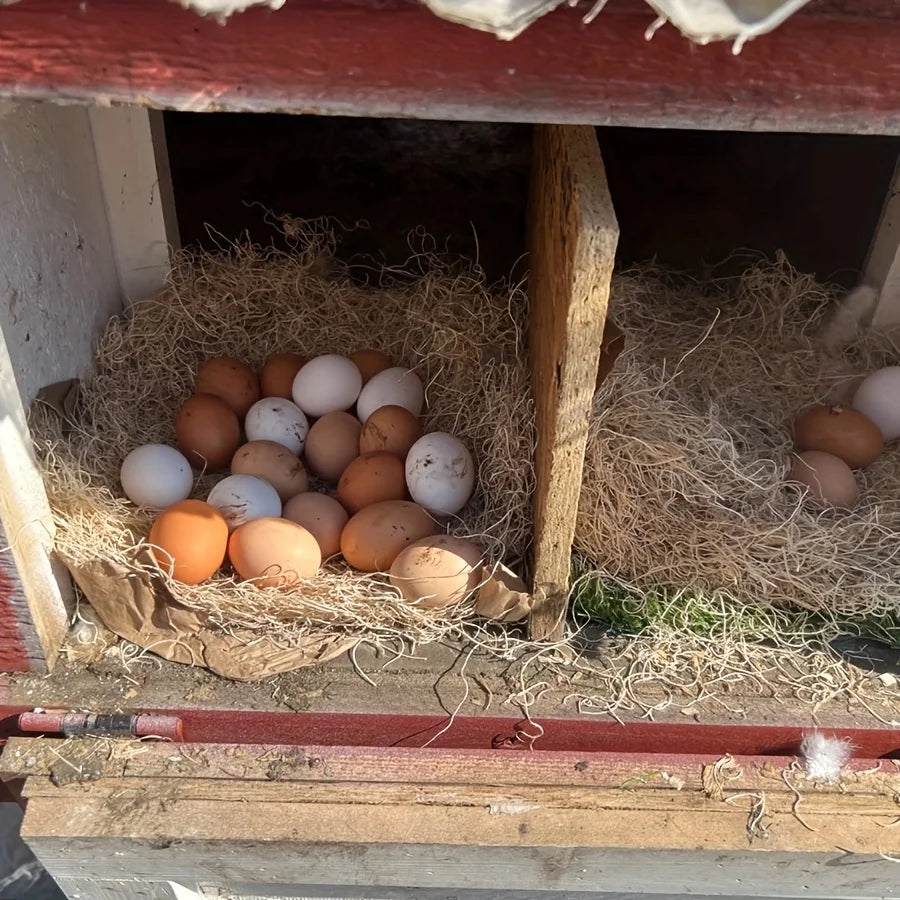 Nesting Liner Nest Box Chicken Mat, Nest Mat Box Liner, Chicken Coop Chicken Mat, Chick Mat Bird Nest Mat Rabbit Mat