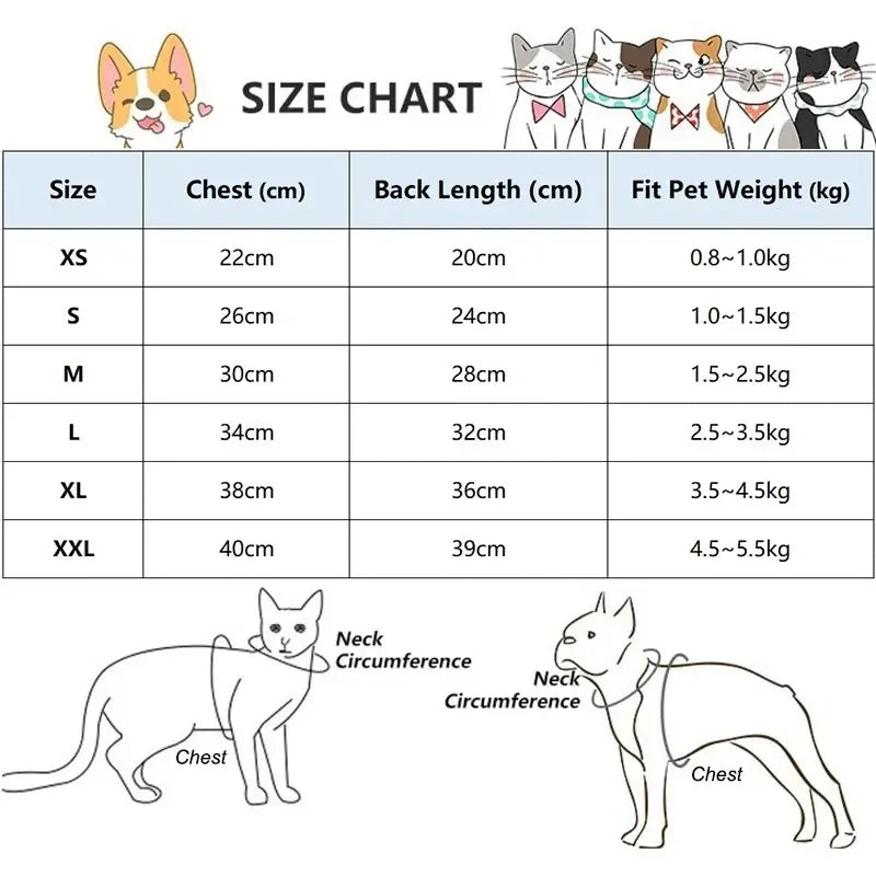 Lamb Wool Coat for Cats Sphynx Cat Clothing Winter Soft Grey T-Shirt for female Kittens Devon Rex Short or Long Sleeves Loungewear