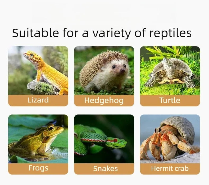 Parrot Thermostatic Feeding Box Reptile Temperature Control Waterproof Terrarium Birds Smart Box Reptiles  Guinea Pigs Pet Habitat House