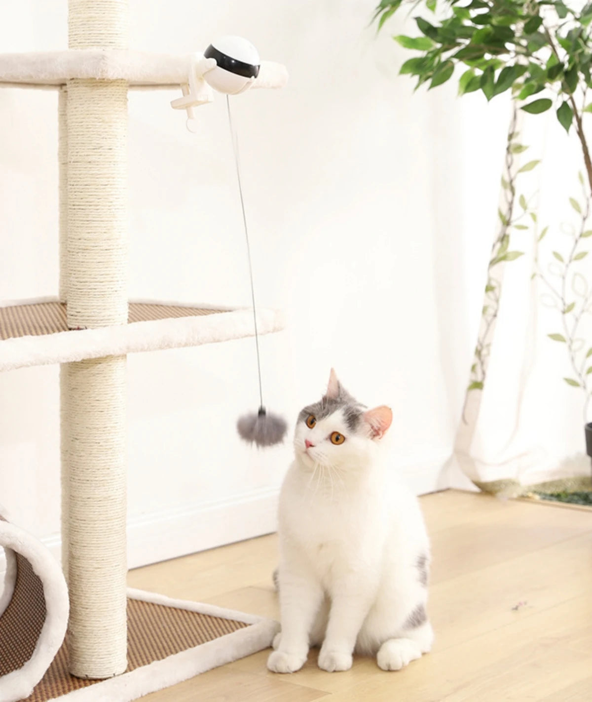 1Pc Fun Lifting Ball Electric Motion Cat Toy With Automatic Retractable Cat Teasing Ball Rotating Interactive Puzzle Pet Toys Cat Toys