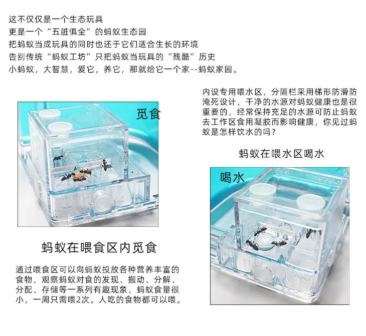 1PCS 3D Insect Acrylic For Ant Farm Observed Expansion Maze House Educational Decor Accessories Look into World Bug Box