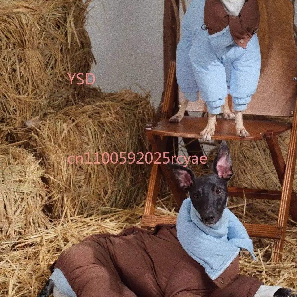Autumn Winter Medium Dog Turtleneck Coat - Windproof Warm Eco-Cotton Padded Clothes