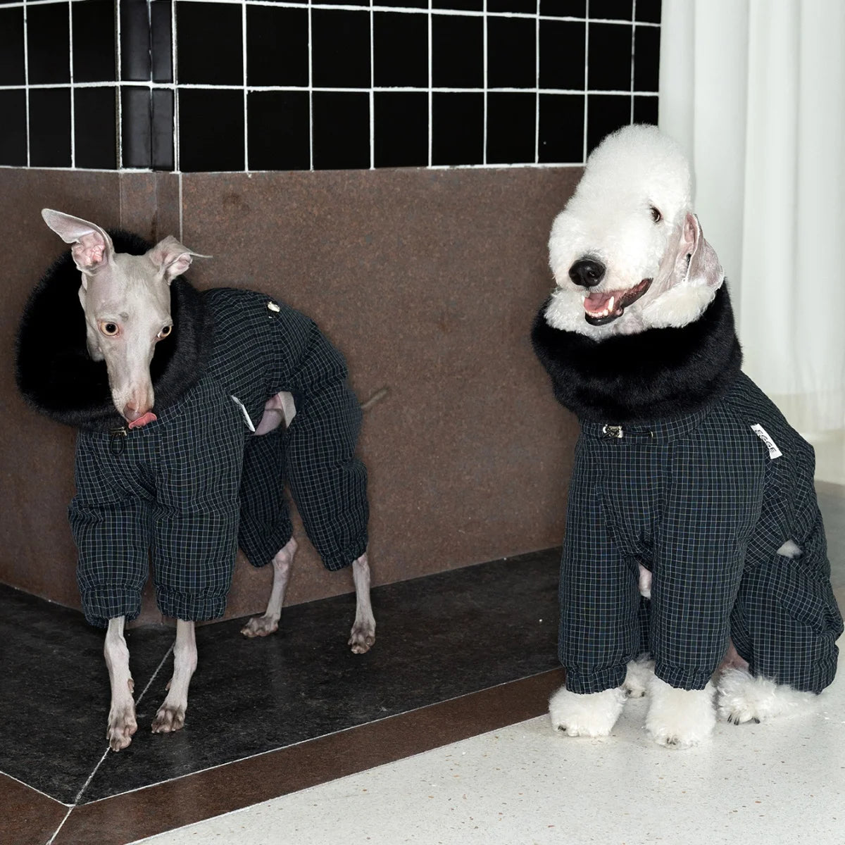 Thick Plaid Down Coat for Dogs in Winter Waterproof Windproof Grey Warm 4-leg Mink Fur Collar Puffer Jacket for Italy Greyhound