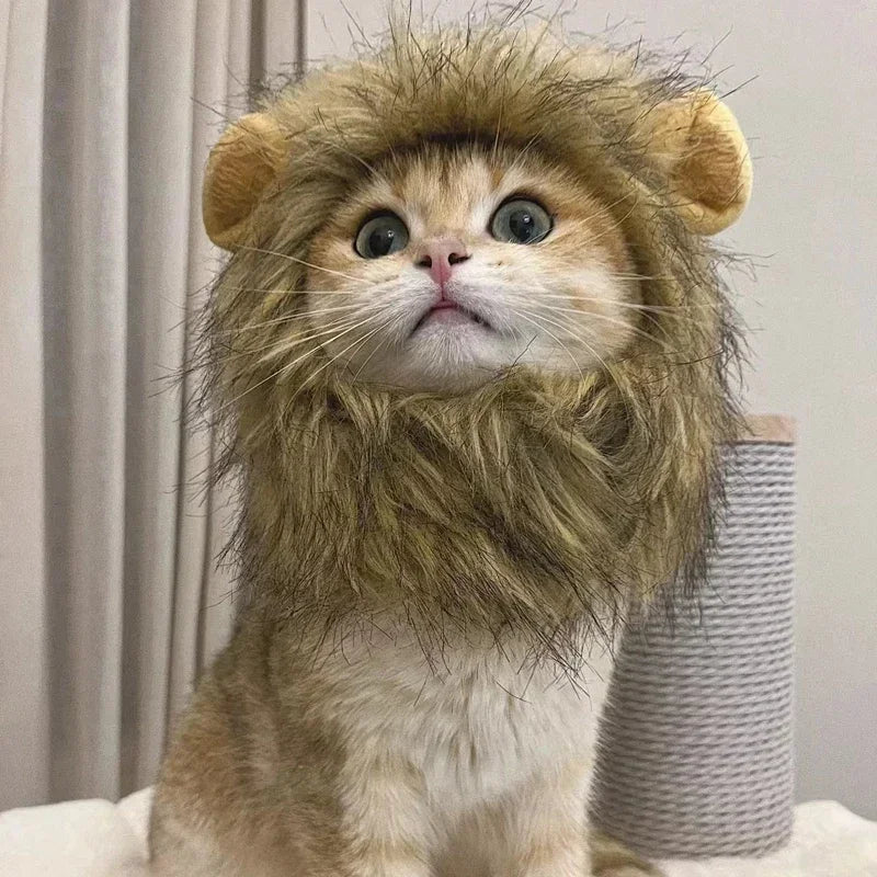 New Cute Funny Lion Mane Wig Hat for Pets Cat Dog Cosplay Costume with Ears Fancy Party Supplies