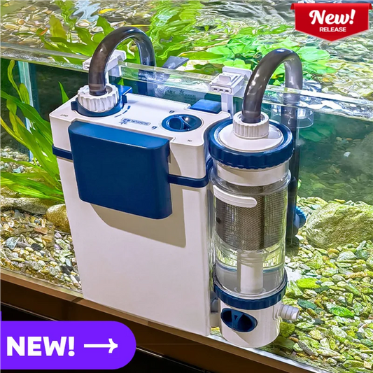 Water purification circulation oxygenation filtration oxygen production integrated water purification circulation system