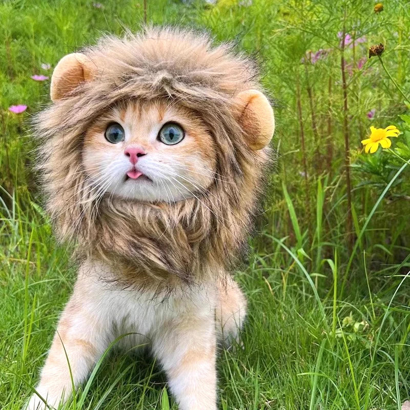 Cat Cosplay Dress Up Pet Hat Lion Mane for Cat Puppy Lion Wig Costume Party Decoration Halloween Christmas Cat Pet Supplies