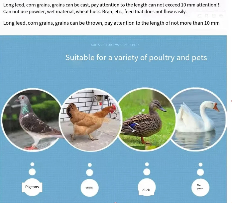 Chicken Feeder Automatic chicken feeder Timing automatic chicken feeder pigeon supplies appliances Feeding Schedule Timer 5 Different models