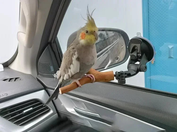 1pc-natural wood bird perch rod, parrot claw grinder rod, bird cage accessories, bird cage claw grinder bracket rod