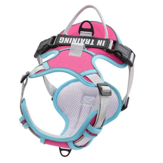 Nylon Dog Harness Vest Reflective Dog Harness Personalized Breathable Adjustable Pet Harness Leash For Small Medium Large Dogs
