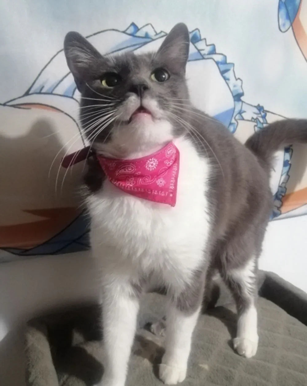Cute Printed Bandana Cat Collar Puppy Dog Cat Scarf Collar Adjustable Triangular Pet Bandana Collar for Kittens Small Animals
