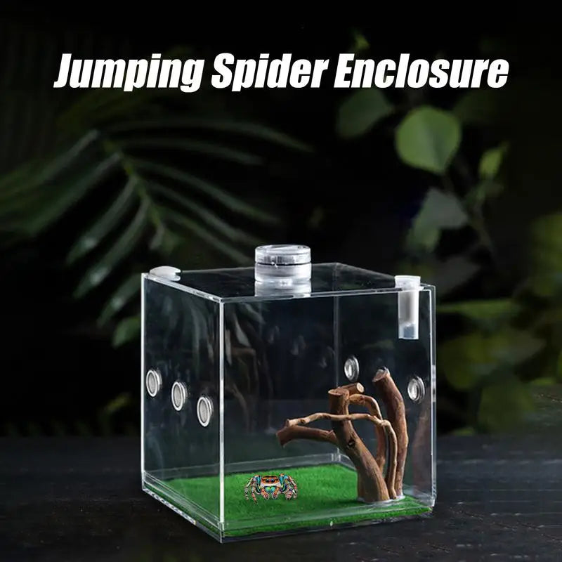Spider Reptile Insect Feeding Box Reptile Breeding Box Terrarium Accessories Insect Box For Spider Cricket Snail Tarantula