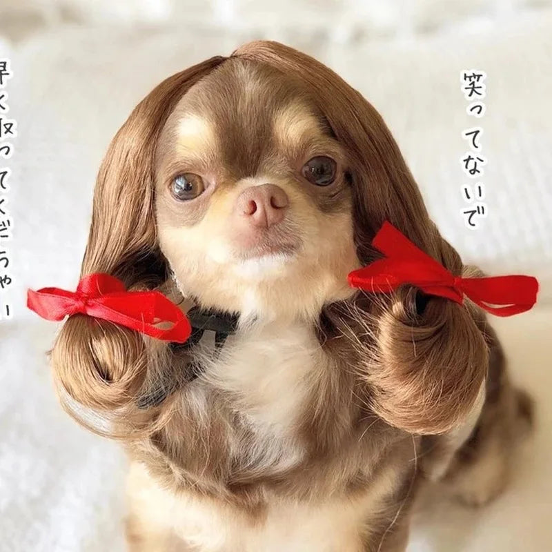 NONOR Pet Wigs Cosplay Props Funny Dogs Cats Cross-Dressing Hair Hat Costumes Head Accessories for Halloween Christmas Supplies