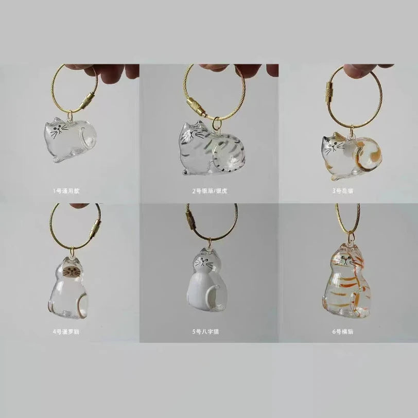 Pet Hair Storage Box Transparent Keepsake Container for Cat Fur DIY Decoration Memorial Gift for Pet Lovers Home Display Use