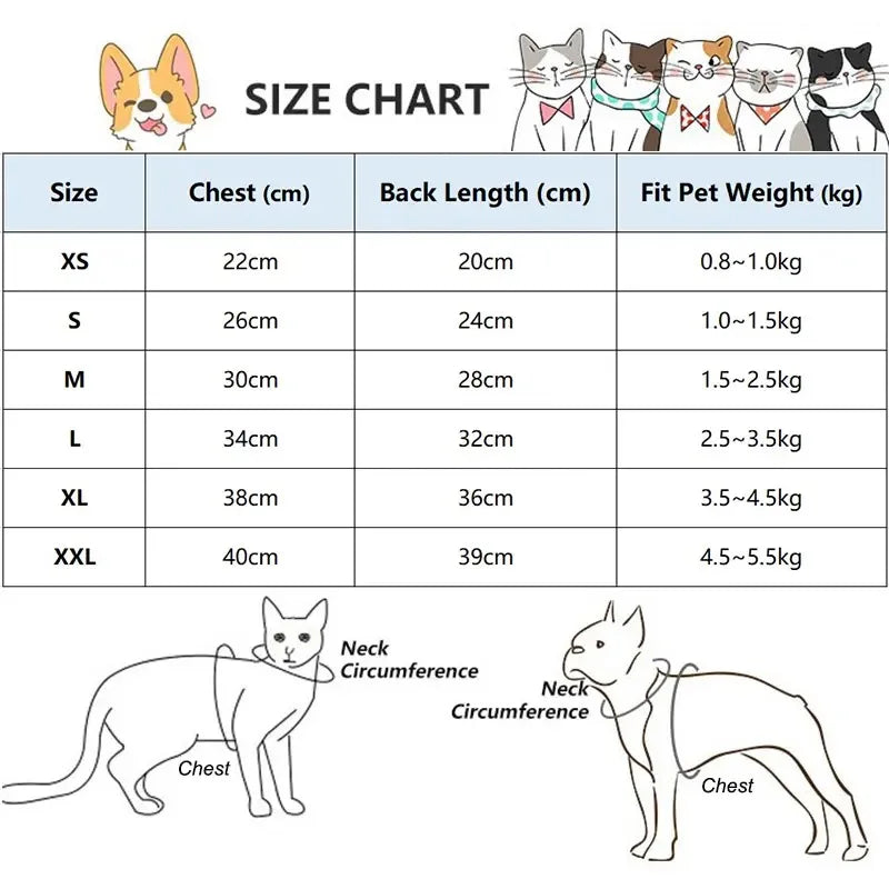 Lamb Wool Coat for Cats Sphynx Cat Clothing Winter Soft Grey T-Shirt for female Kittens Devon Rex Short or Long Sleeves Loungewear