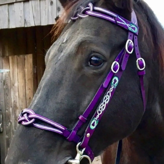 PU Leather Horses Bridle Halters Comfortable Metal Buckles Horse Reins Durable Adjustable Horse Head Stall