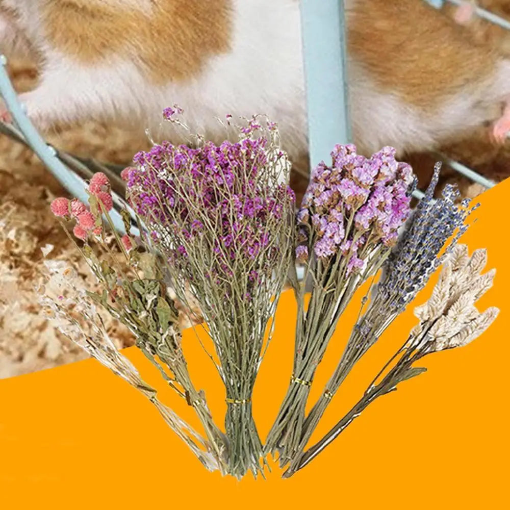 Flower Hamster Bedding Dried Flowers And Grass Hamster Cage Decoration Animal Deodorant Hamster Landscaping Supplies