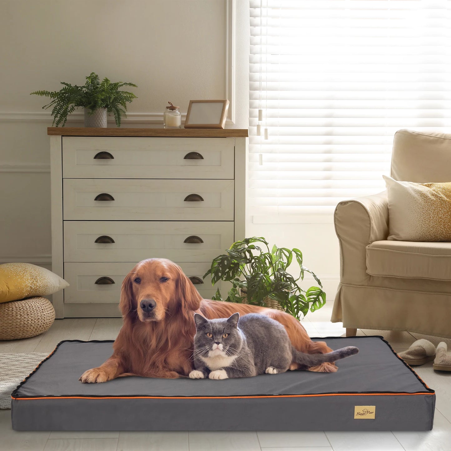 Dog Pet Bed  Large Padded Orthopedic Dog Bed Foam Cushion Foam Cushion with Washable Cover  Removable Cover