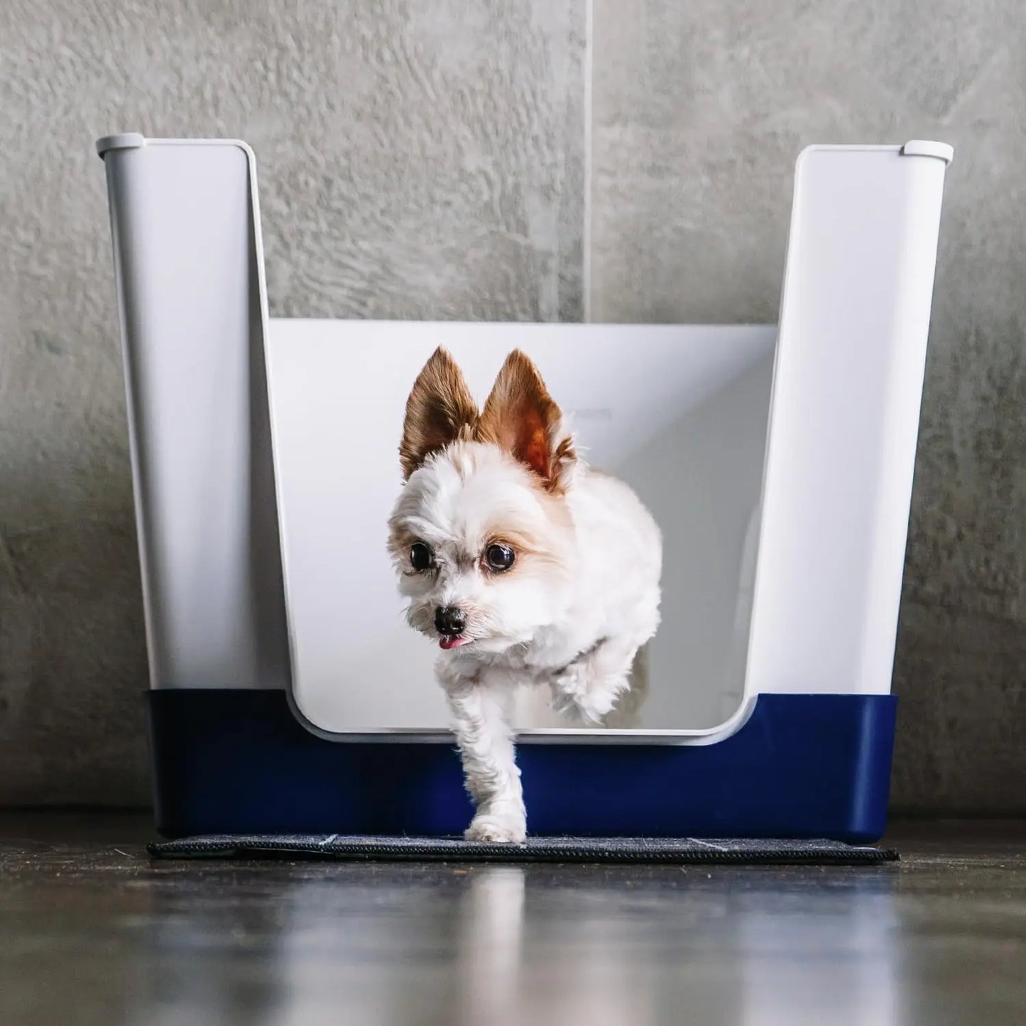 Indoor Dog Toilet Solution - No Mess and Splash Guard - Potty Training Pad Holder