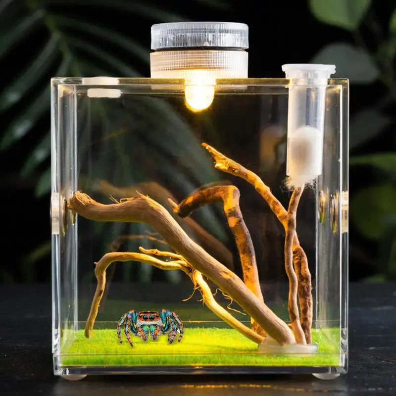 Spider Reptile Insect Feeding Box Reptile Breeding Box Terrarium Accessories Insect Box For Spider Cricket Snail Tarantula