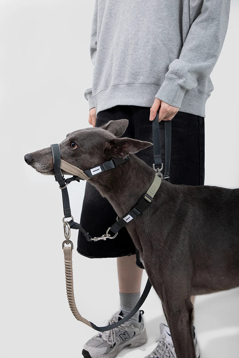 Dog Mouth Anti Barking Bark Collar Dog Adjustable Training Mesh Fabric Explosion-proof Flushing Control Traction Pet Supplies