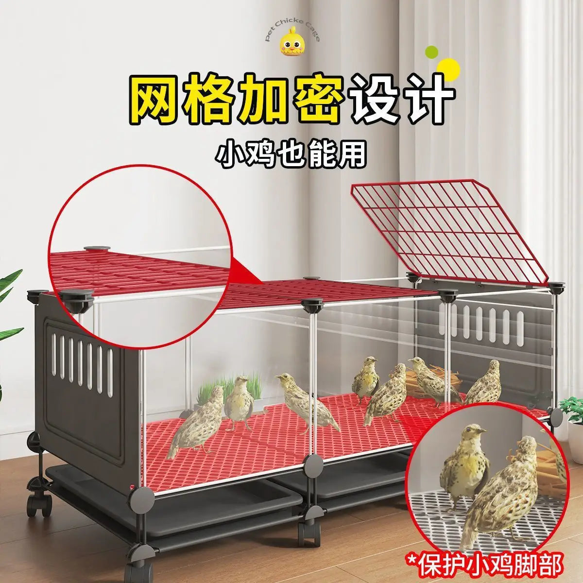 Premium Quail Cage with Pulley Droppings Tray - Indoor Large Chicken Coop Protecting Chicks Feet Mesh Predator Proof Secure Run