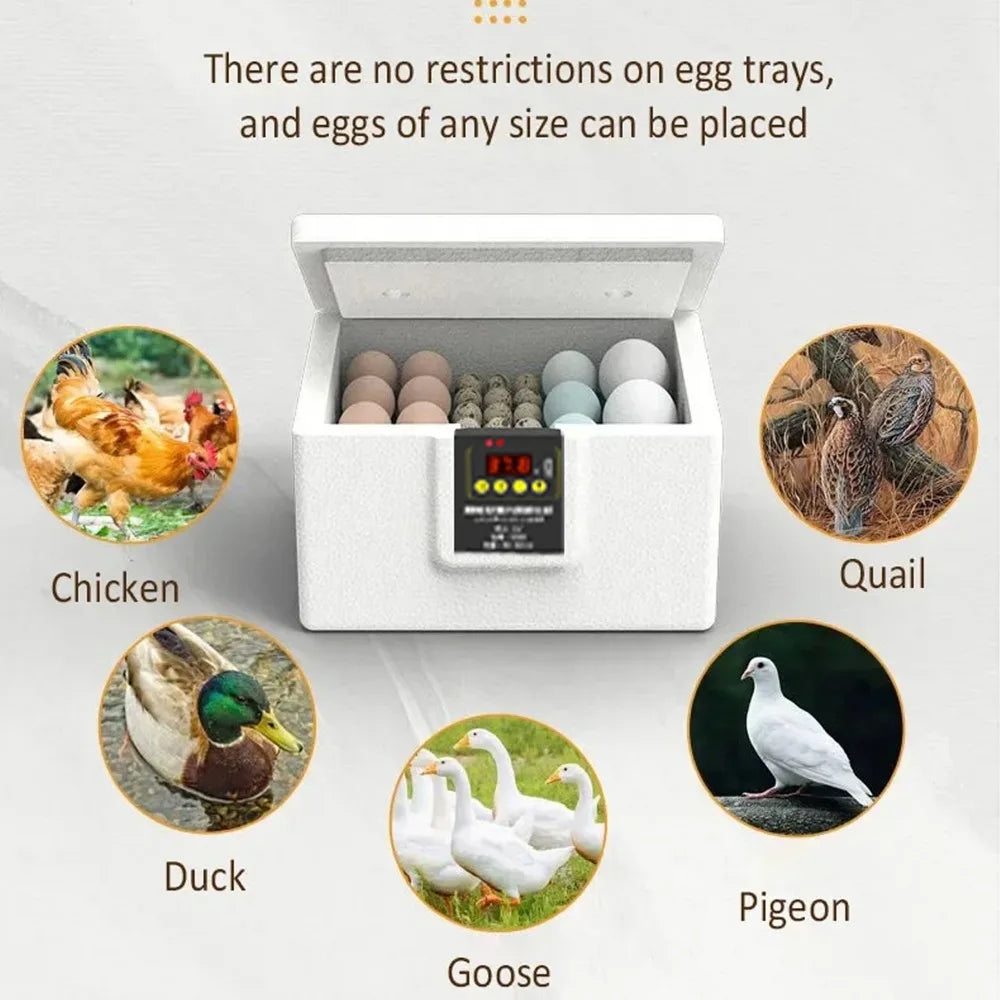 24-hour Thermostatic Small Poultry Egg Incubator Temperature Control Intelligent Biomimetic Waterbed Full Automatic Quiet