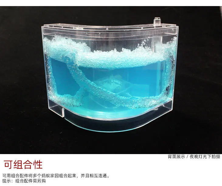 1PCS 3D Insect Acrylic For Ant Farm Observed Expansion Maze House Educational Decor Accessories Look into World Bug Box