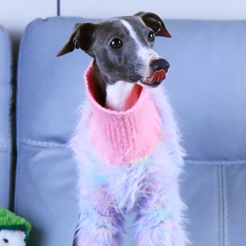 Pet Sweater Stretch Soft Turtleneck Italian Greyhound Whippet Sweater Autumn Winter Pet Sweater Small Dog Clothes S-3XL