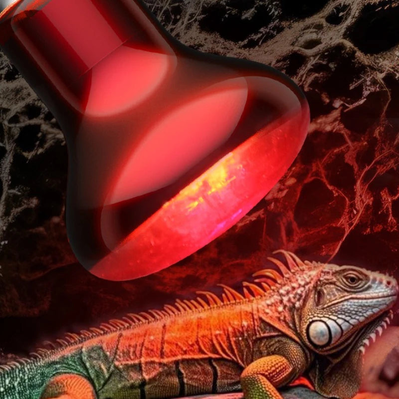 220V Reptile Heat Lamp Bulb Infrared Basking Spot Lamp Red Heat Lamp Bulbs Amphibian Gecko Lizard E27 Infrared Reptile Light