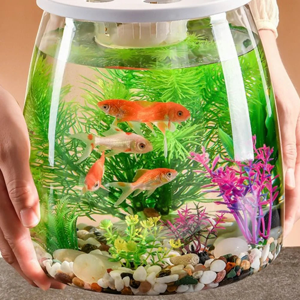 Miniature Landscape Transparent Small Clear Fish Tank Plastic Shatterproof Turtle Aquarium With Lid Goldfish Tank Home Decor