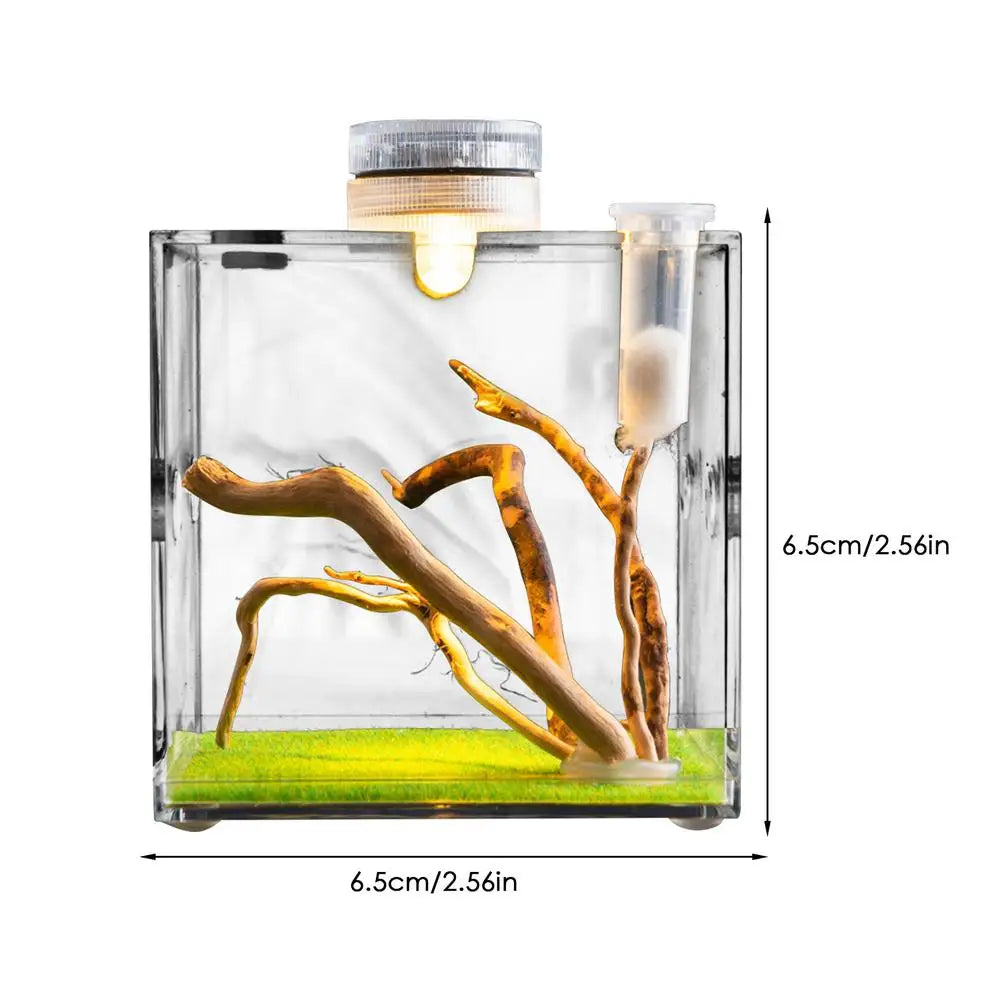 Spider Reptile Insect Feeding Box Reptile Breeding Box Terrarium Accessories Insect Box For Spider Cricket Snail Tarantula