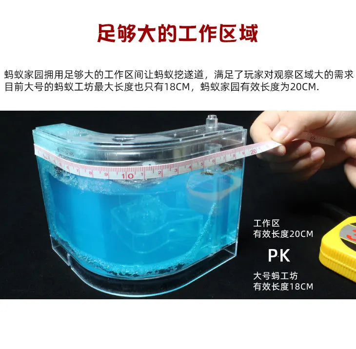 1PCS 3D Insect Acrylic For Ant Farm Observed Expansion Maze House Educational Decor Accessories Look into World Bug Box