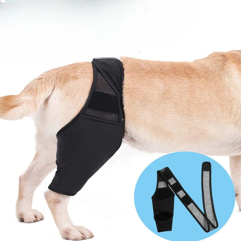 Pet Dog Thigh Protector Leg Wound Anti Lick Anti Scratch Joint Knee Brace Post Surgery Rehabilitation Support Bandage