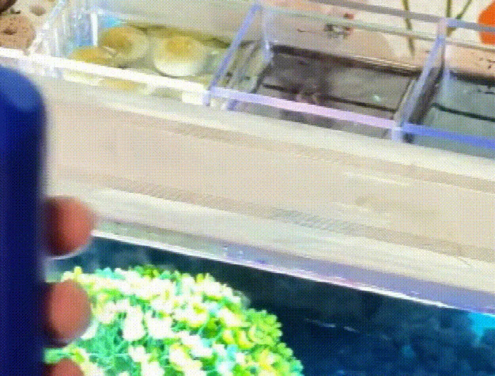 535ml Fish Tank Water Purifier Clear Nitrifying Bacteria Digestion Liquid Aquarium Fish Farming Supplies Fishbowl Water Treatment