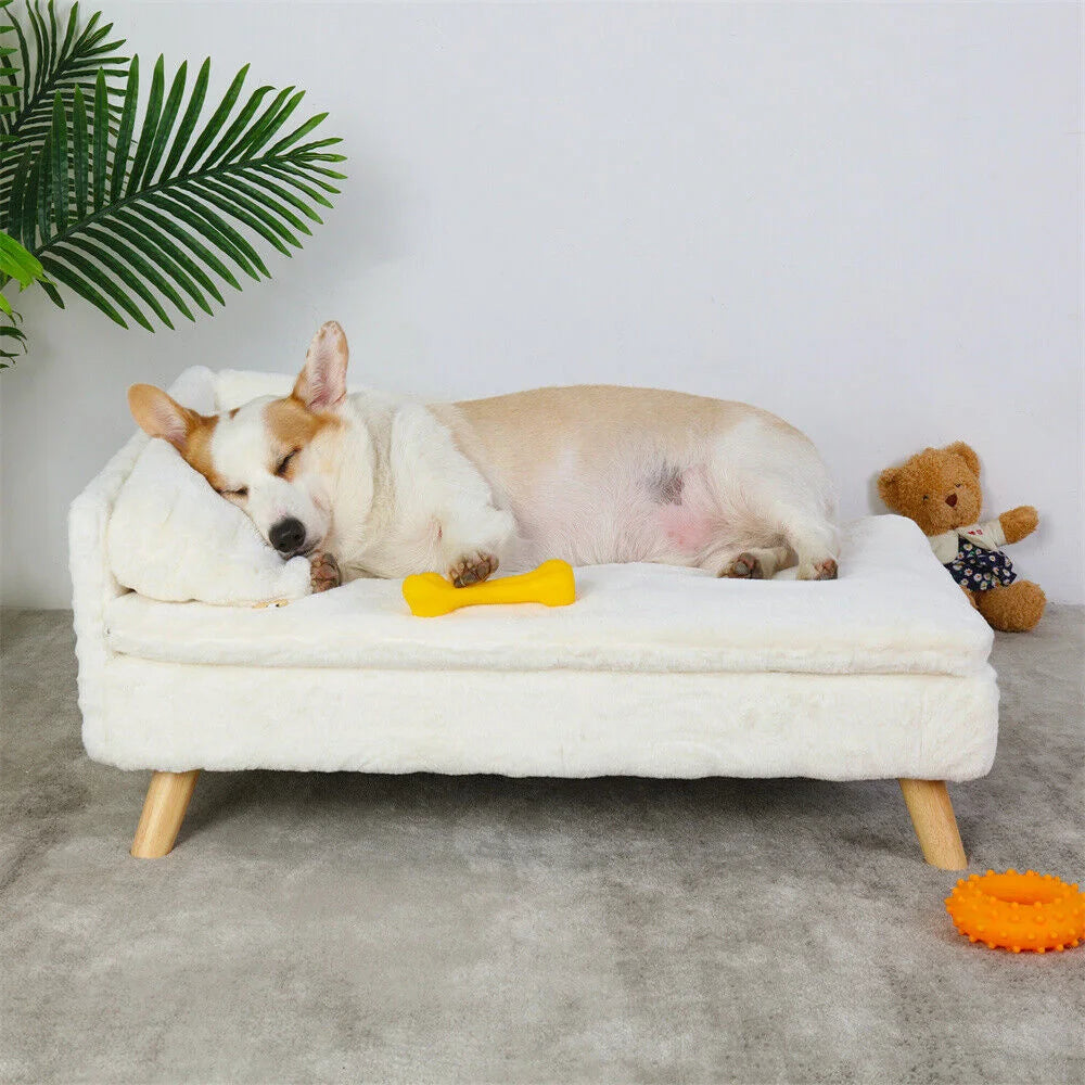 Luxury Elevated Dog  Cat Sofa Bed with Backrest Plush Cushion for Small Medium