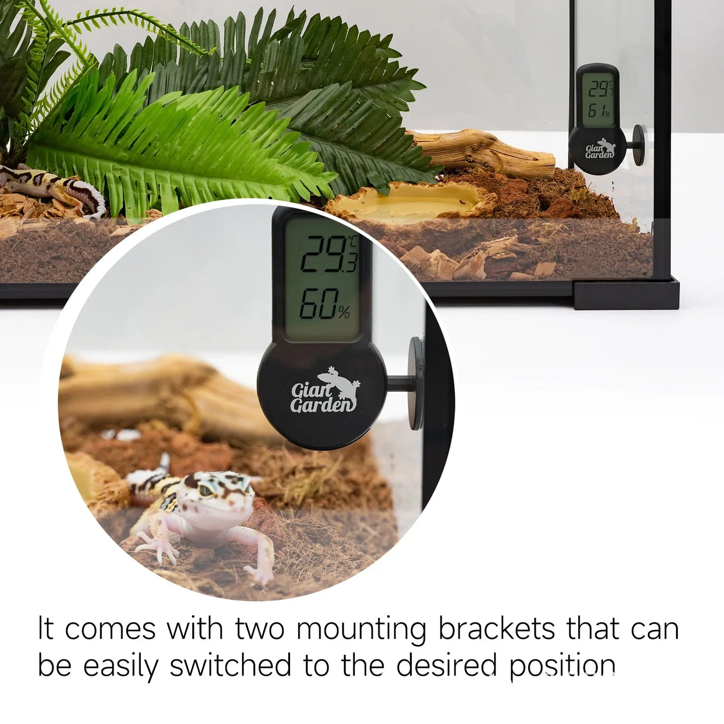 Climbing pet thermometer palace lizard horned frog tortoise reptile feeding box thermometer