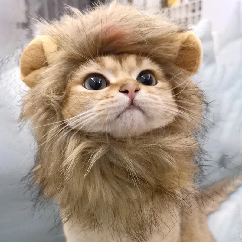 Cat Cosplay Dress Up Pet Hat Lion Mane for Cat Puppy Lion Wig Costume Party Decoration Halloween Christmas Cat Pet Supplies