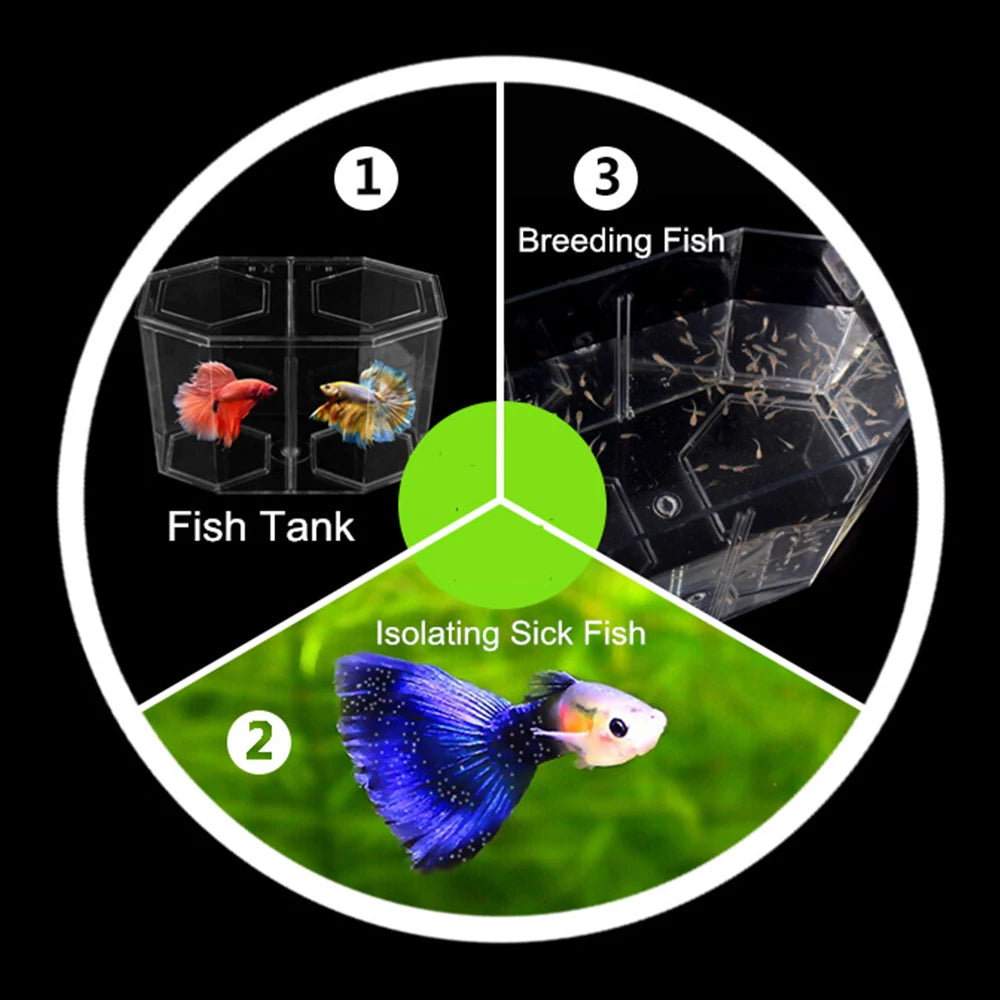 Acrylic Two Splits Guppy Fish Tank Aquarium Betta Fish Bowl Transparent Aquarium Hatchery Breeding Isolation Box