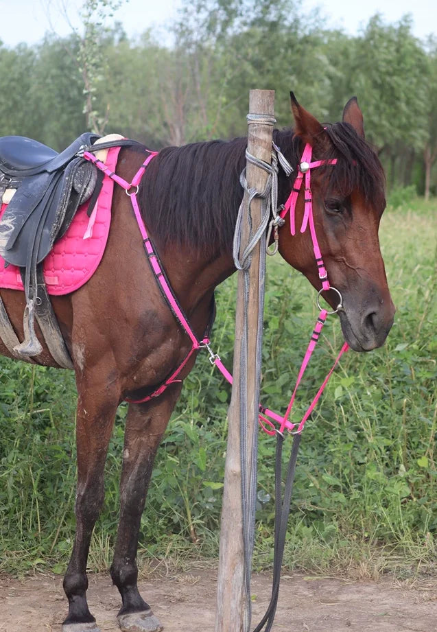 Horses absorb sweat, sweat pad, shock absorber, sweat drawer with pocket saddle pad, horse equipment.