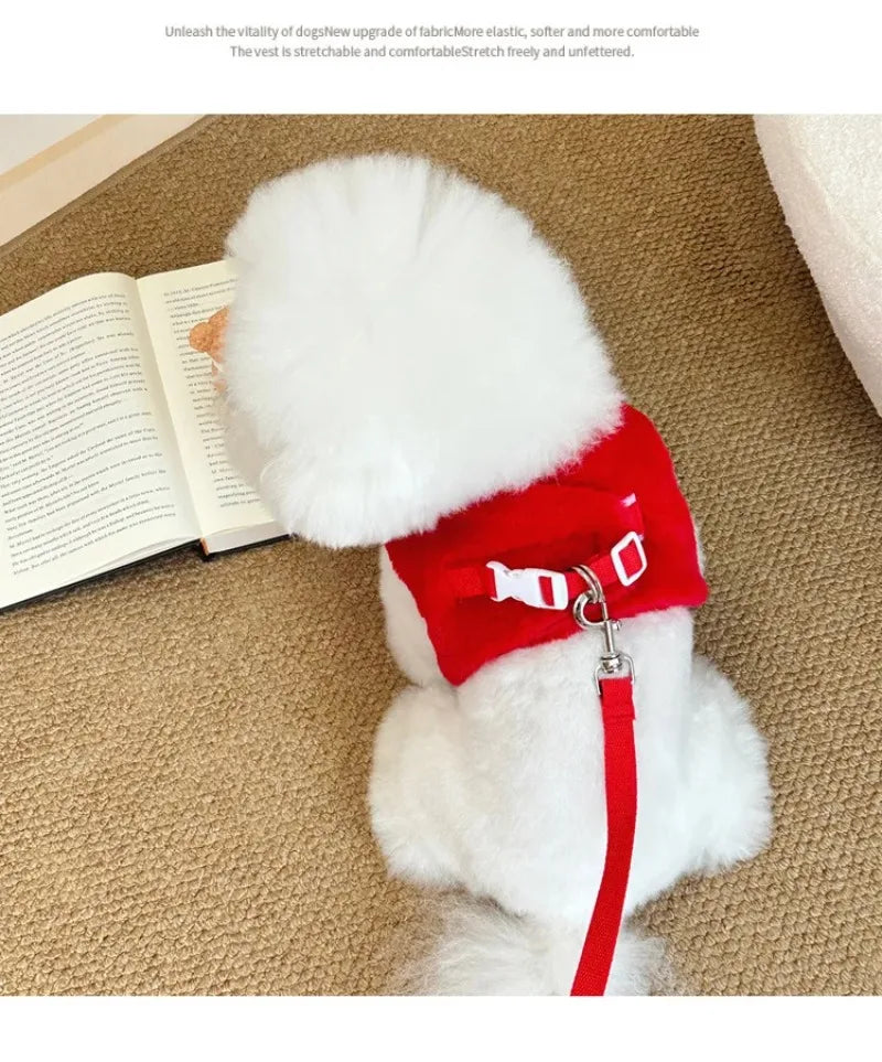 Fashion Pet Rabbit Fur Plush Pet Traction Set Warm Thick Pet Dog Cat Walking Dog Outdoor Teddy Plush Traction Rope Chest Harness