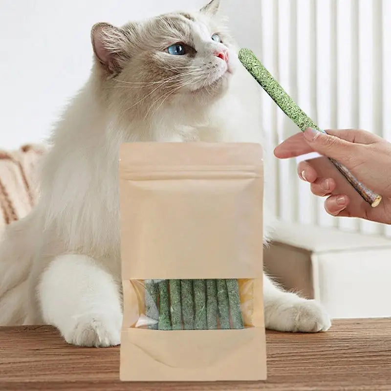 Natural Matatabi Cat Stick Mint Caught Bite Excited Rods Silvervine For Cat Teeth Cleaning Treating Pet Supply Cat Toys
