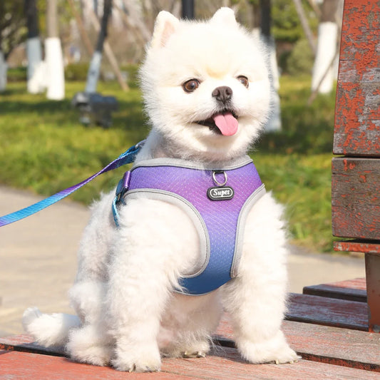1pc Dog Harness  Small, Medium Ombre Harness and Leash Set. Air tag cat collar Leash Flea  tick control